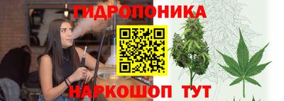 ПСИЛОЦИБИНОВЫЕ ГРИБЫ Коммунар